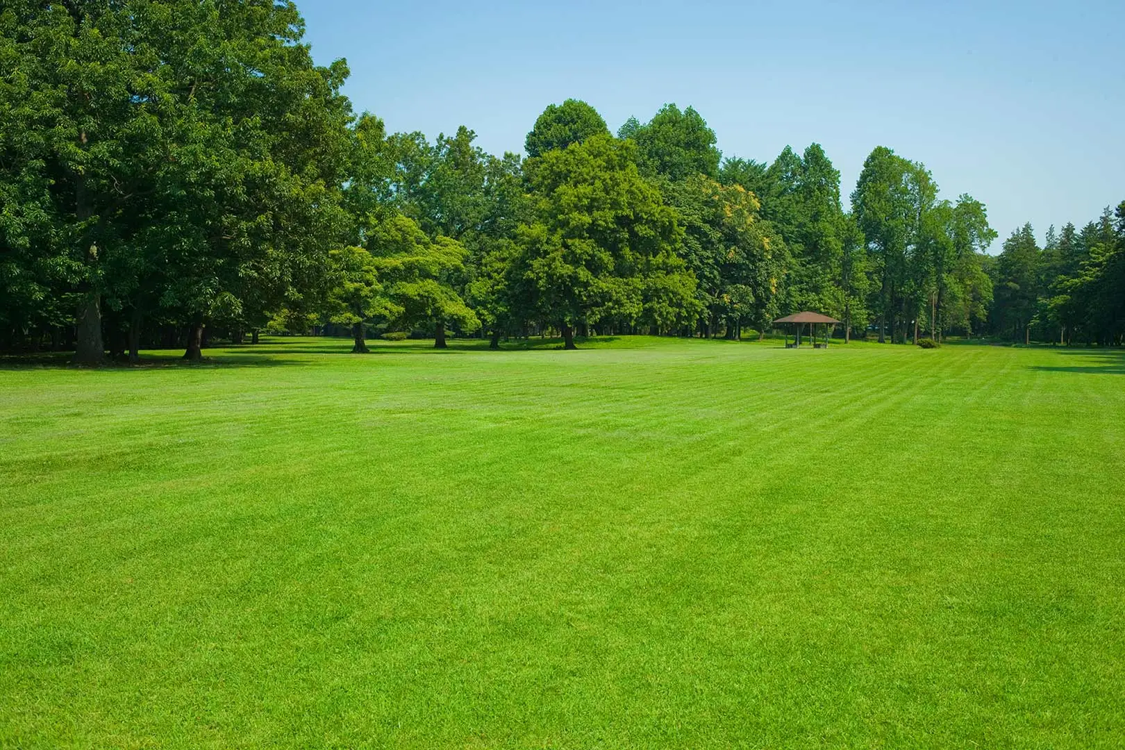 Maintained lawn after services in Humboldt, WI.