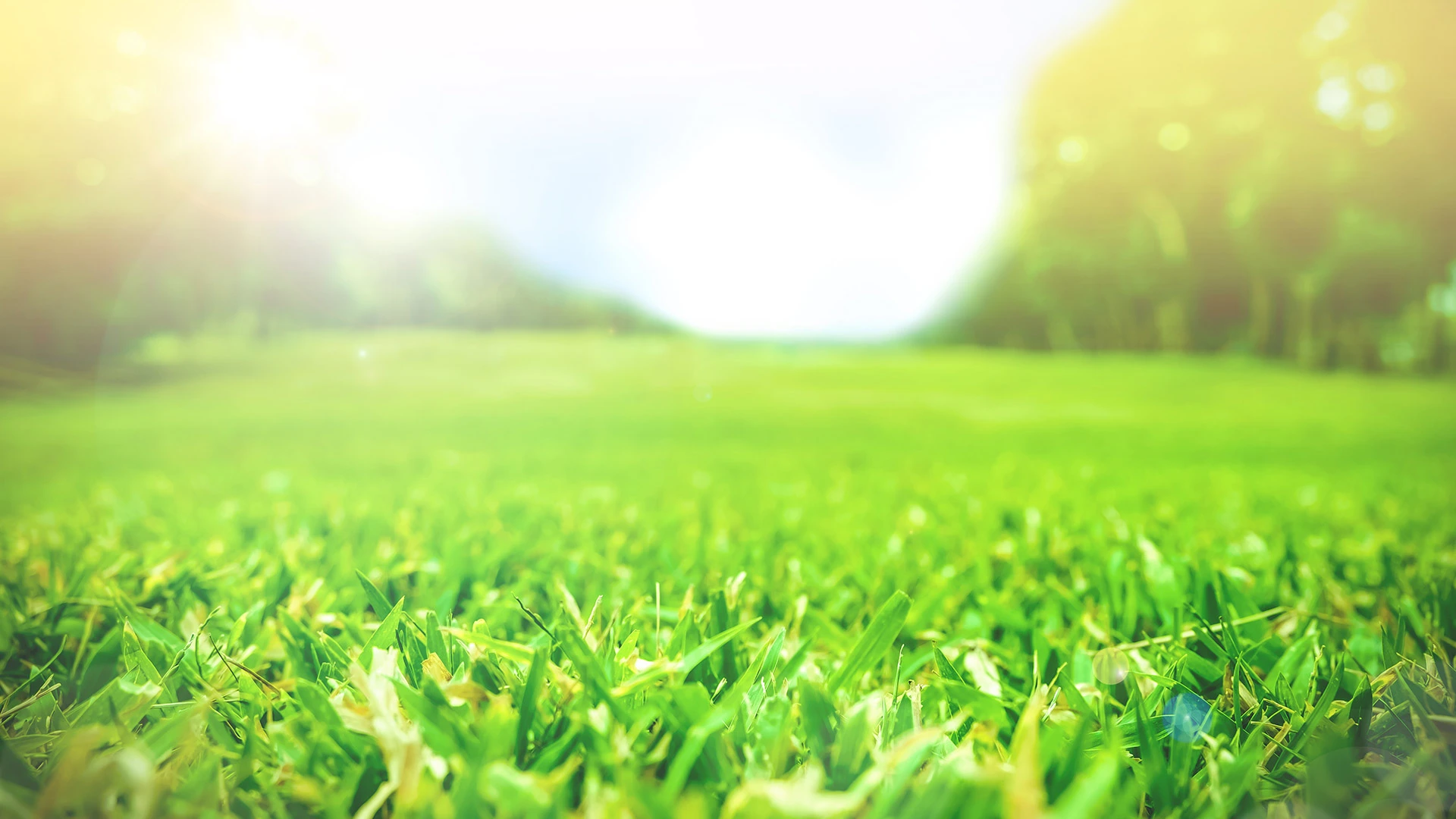 Sun glaring over lawn in Denmark, WI.