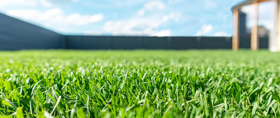 Fertilized lawn after services in Humboldt, WI.