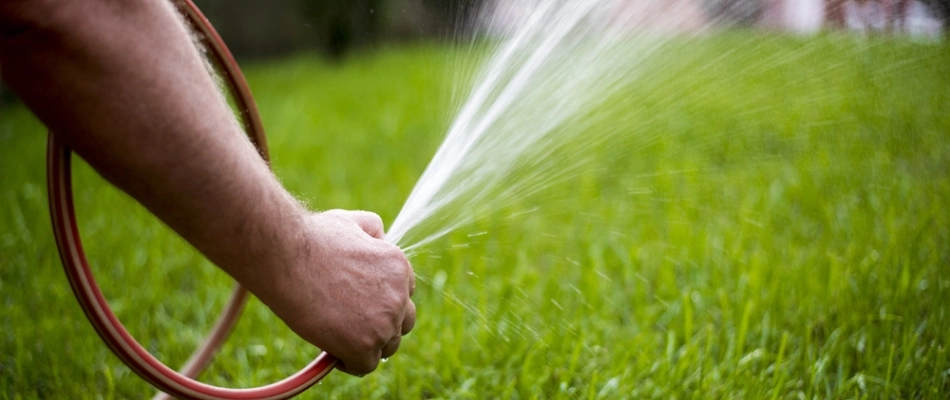 Homeowner watering seeding lawn in Appleton, WI.