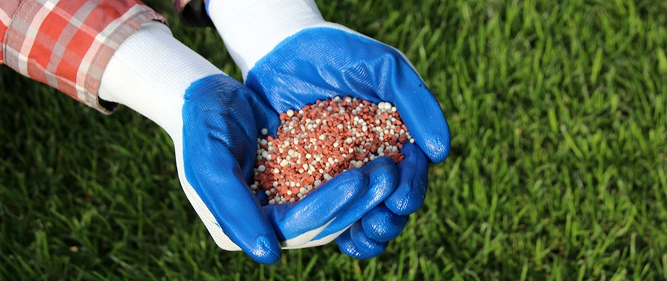 Our lawn care professional holding a mix of fertilizer and nitrogen in Suamico, WI.