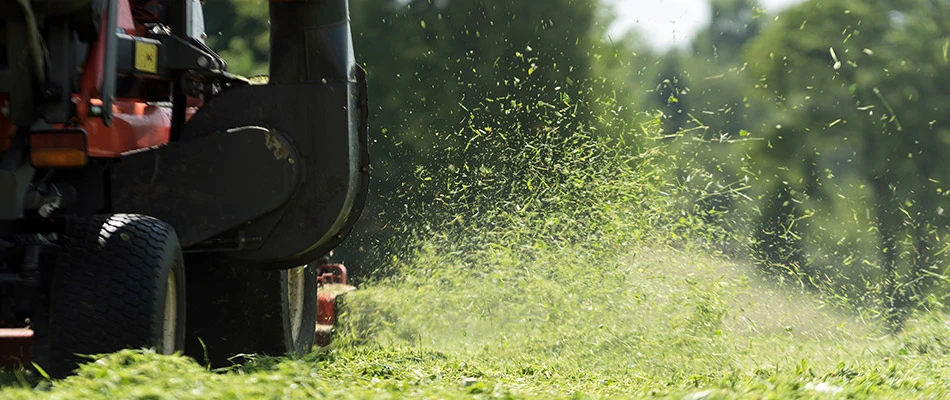 A lawn in the process of being mowed in Green Bay, WI.
