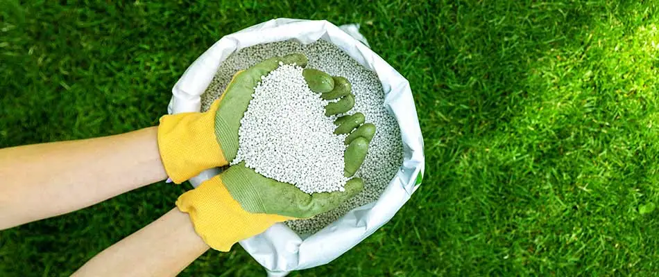 Gloved professional holding granular fertilizer pellets in Greenville, WI.