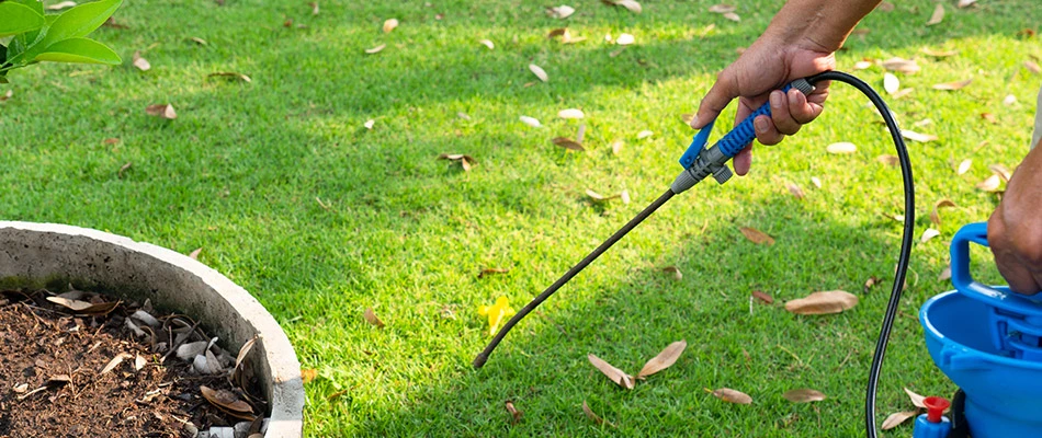 Our pest control specialist spraying a lawn to prevent grubs in Appleton, WI.