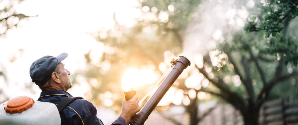 Professional with a backpack fogger applying pesticide treatment to property in Morrison, WI.
