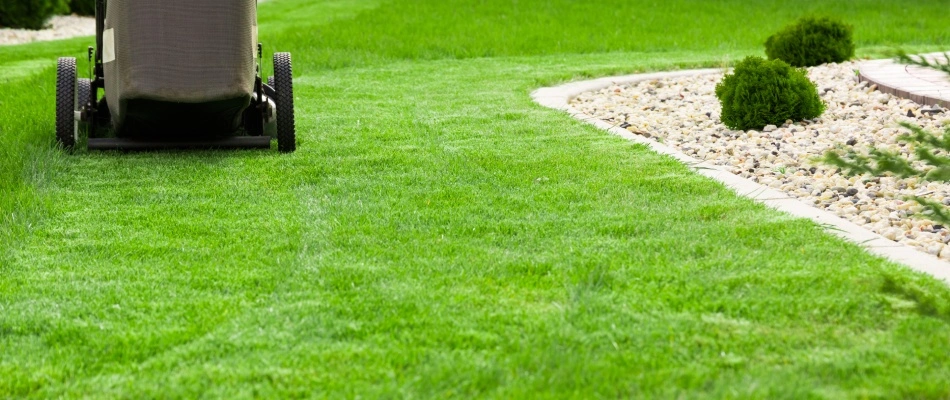Push mower in lawn in Hobart, WI.