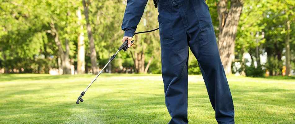 Technician spraying lawn with tick control to lawn in Allouez, WI.