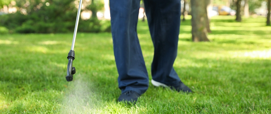 Weed control being applied to lawn by a technician in Freedom, WI.