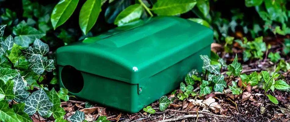 Hidden rodent bait station at a home near Iron Mountain, MI.