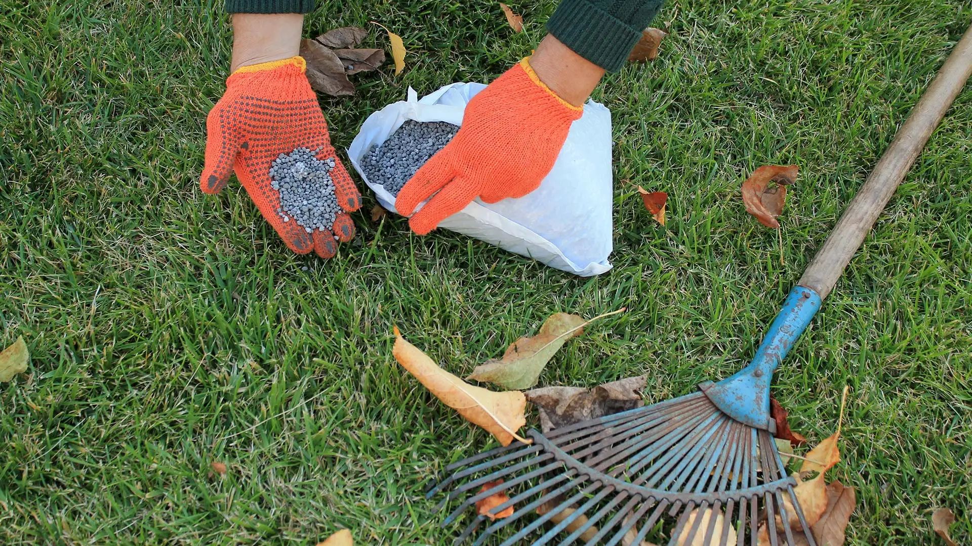 Here’s Why You Shouldn’t Skip Your Fall Fertilization Treatment