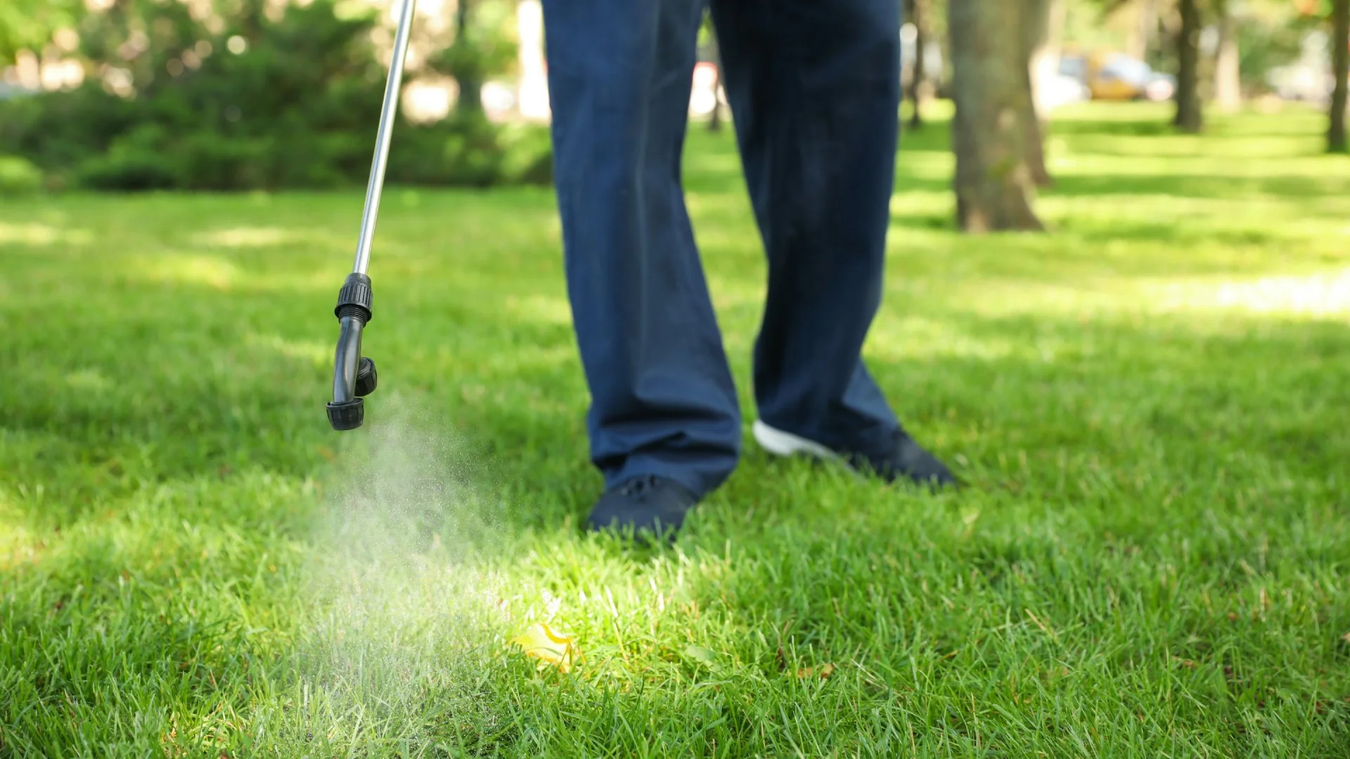 Tech applying weed control treatment to lawn in Seymour, WI.