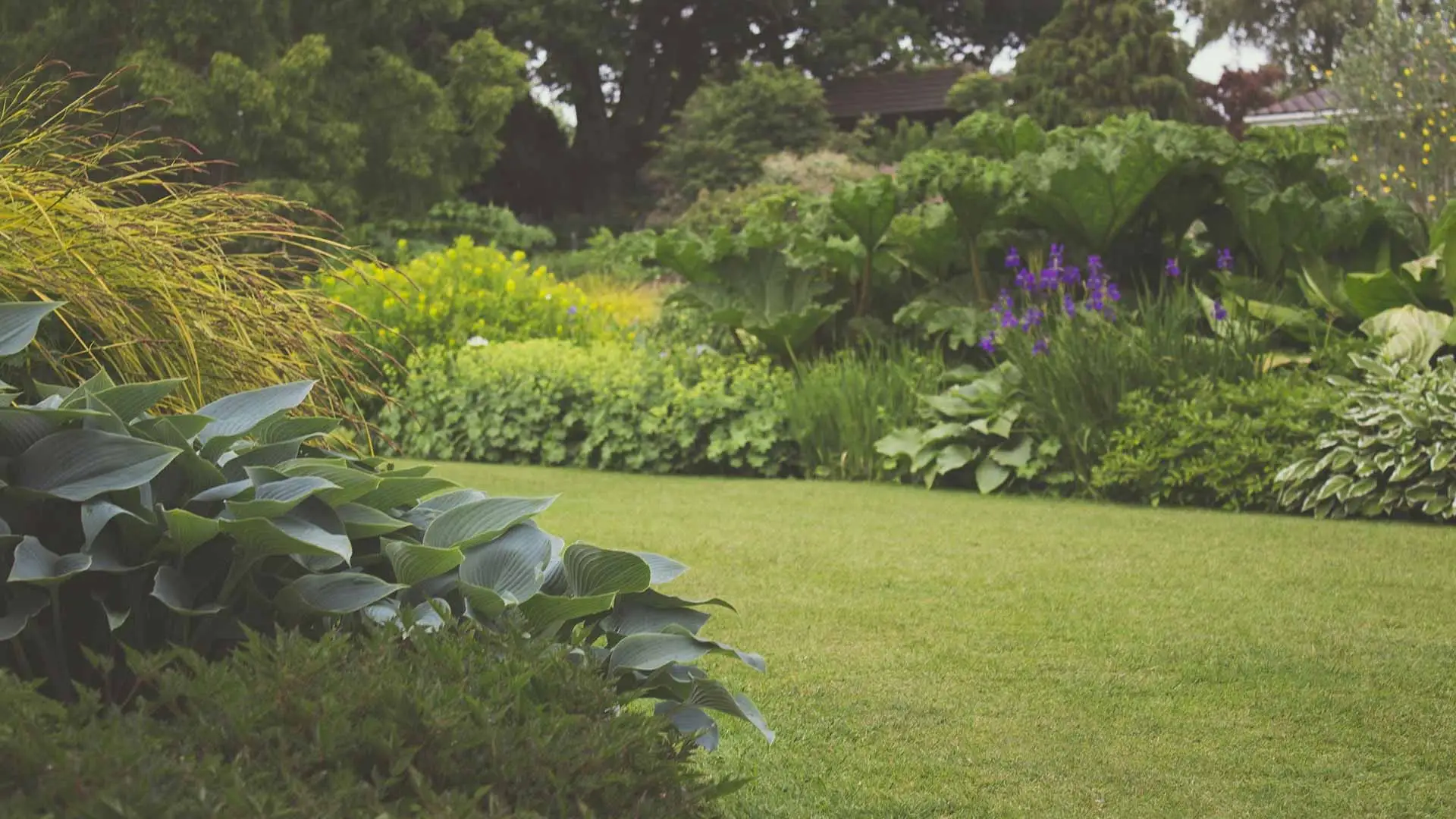 How To Care For And Maintain Shrubs & Trees In Summer