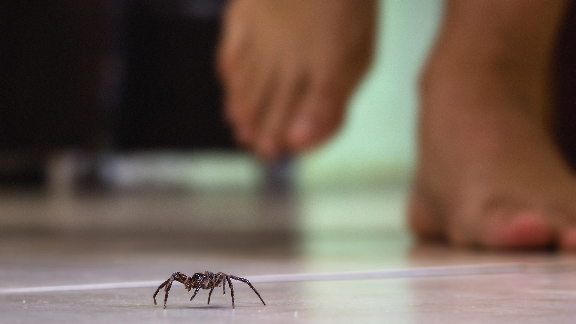 Winter is on its Way! Don’t Let Pests Get Cozy in Your Home