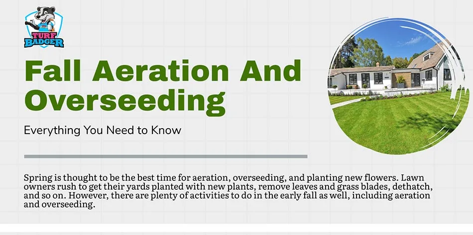 Fall aeration and overseeding services.