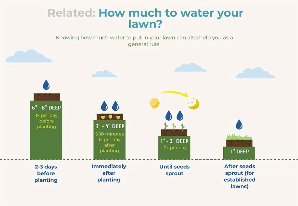 How much to water your lawn in Green Bay, WI.