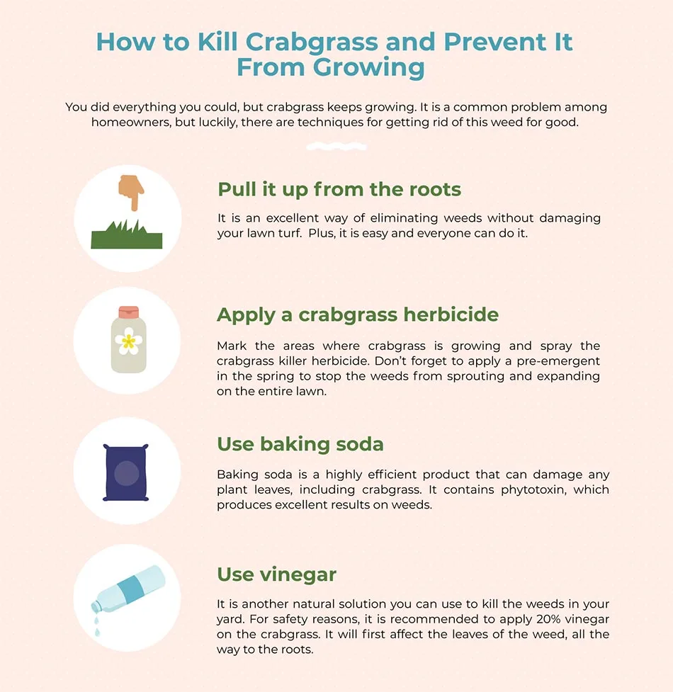How to kill crabgrass.