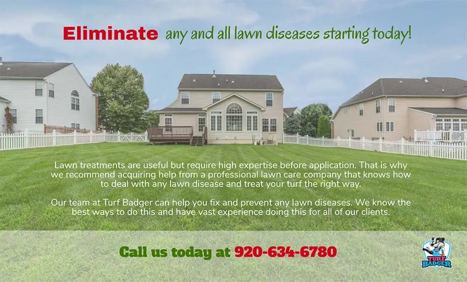 Contact Turf Badger for lawn disease treatments in Bellevue, WI.