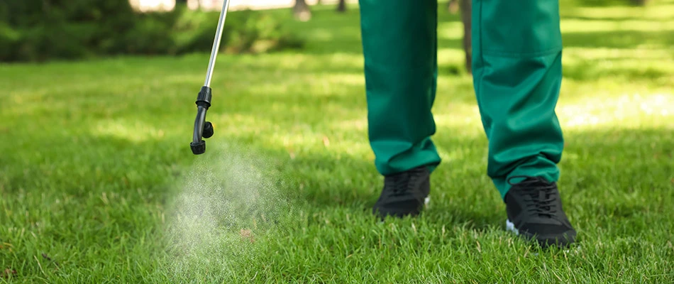 Pest control expert spraying treatment on a lawn in Green Bay, WI.