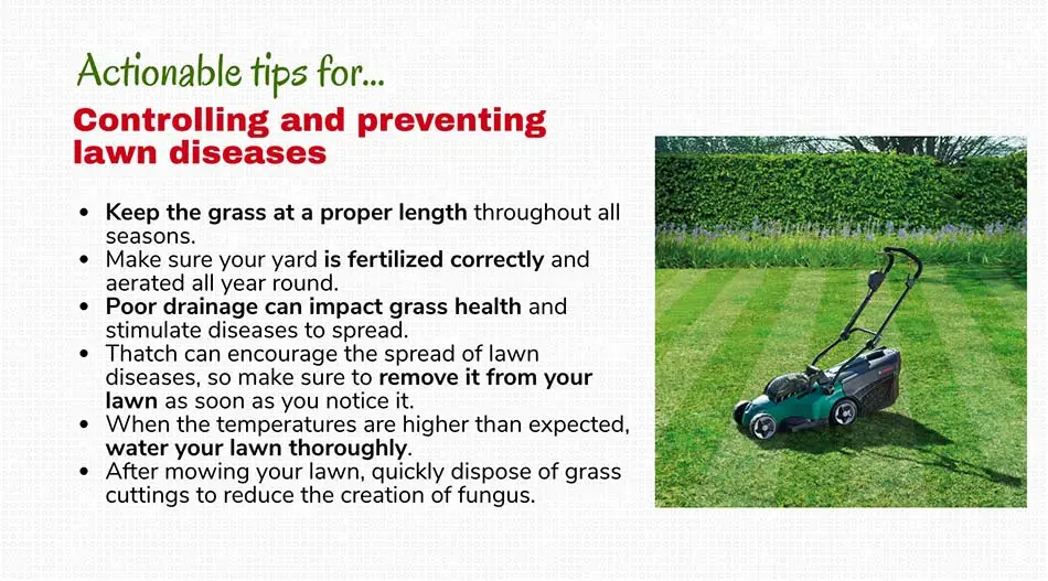 Controlling and preventing lawn diseases in Green Bay, WI.