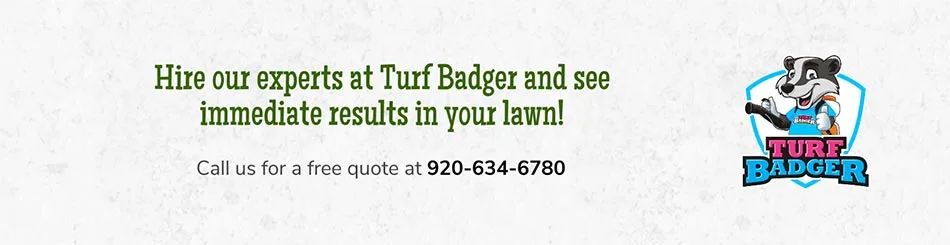 Call Turf Badger for lawn care services.