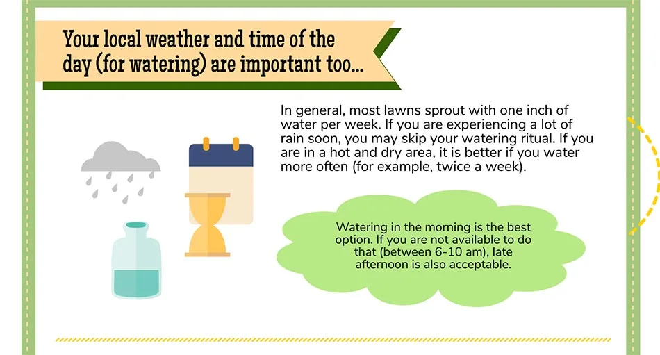 Weather and watering your lawn.