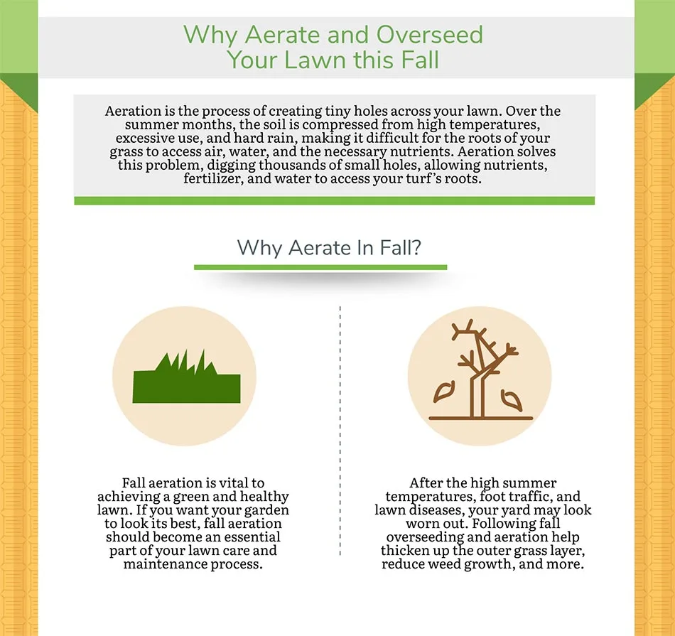 Why use fall aeration services?