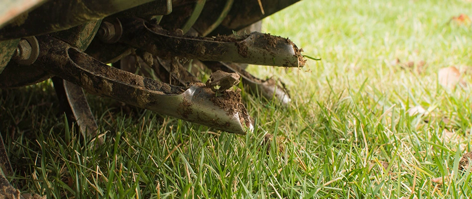 Core aeration machine removing soil cores in Green Bay, WI. 