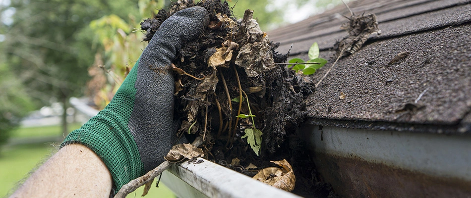 Landscape professional clearing out gutters at home in De Pere, WI. 