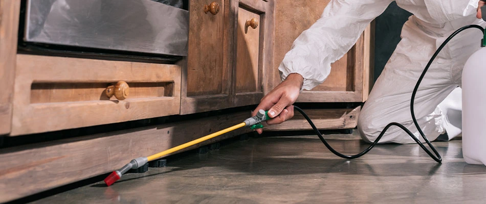 Interior pest control sprayed under cabinets in De Pere, WI.