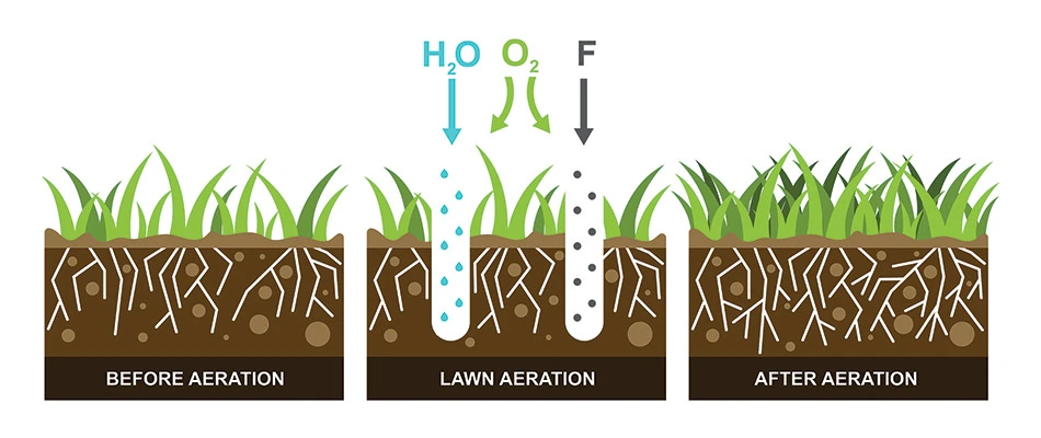 Lawn aeration infographic explaining its benefits for lawns in De Pere, WI and nearby areas.