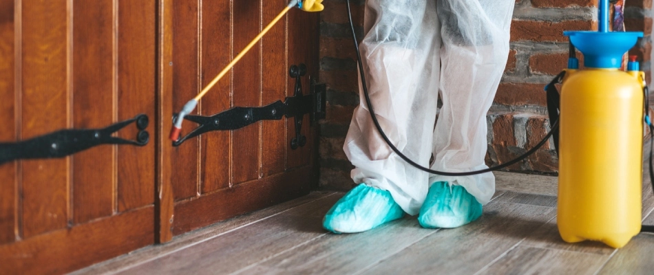 Perimeter pest control treatment being sprayed by a professional near doors in Iron Mountain, MI.