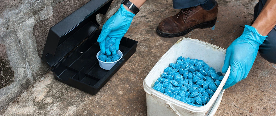 Pest control technician setting bait station in Howard, MI. 