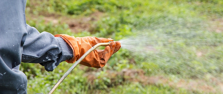 Lawn care technician spraying red thread disease treatment in De Pere, WI. 
